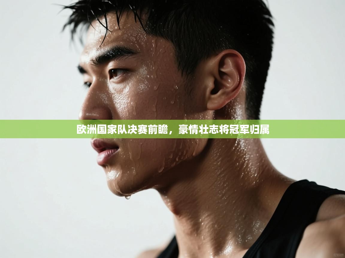 欧洲国家队决赛前瞻,豪情壮志将冠军归属 第2张