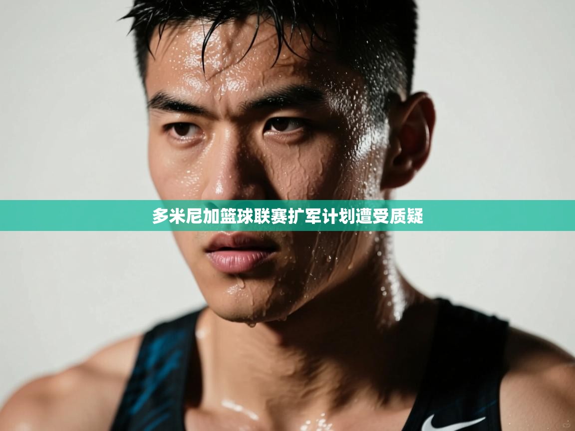 多米尼加篮球联赛扩军计划遭受质疑  第2张